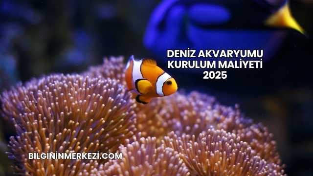 Deniz Akvaryumu Kurulum Maliyeti 2025