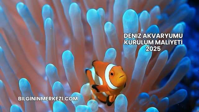 Deniz Akvaryumu Kurulum Maliyeti 2025