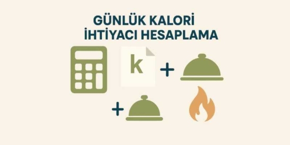 Günlük Kalori İhtiyacı Hesaplama