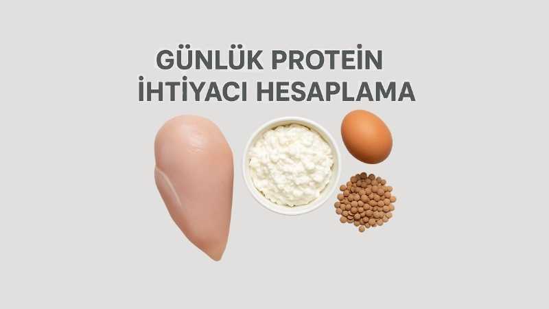 Günlük Protein İhtiyacı Hesaplama