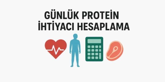 Günlük Protein İhtiyacı Hesaplama