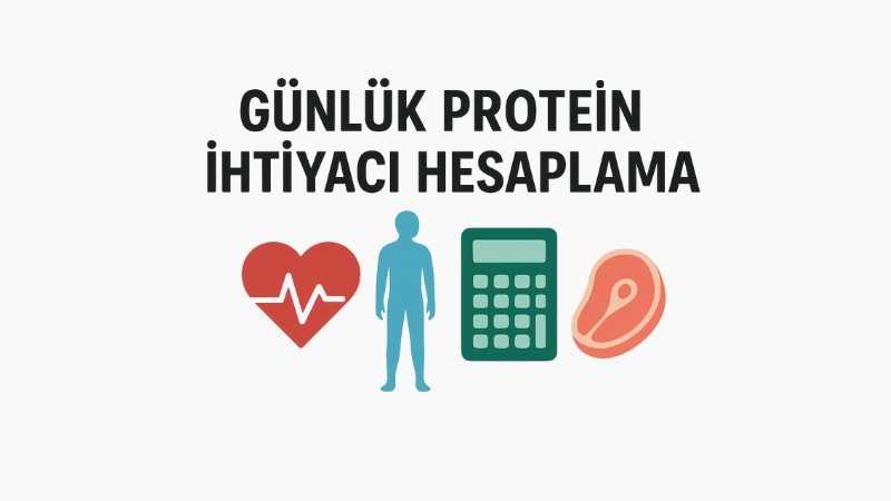 Günlük Protein İhtiyacı Hesaplama