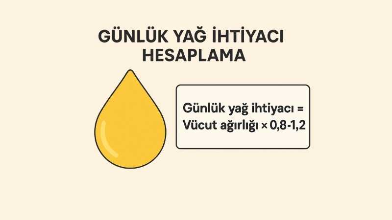 Günlük Yağ İhtiyacı Hesaplama