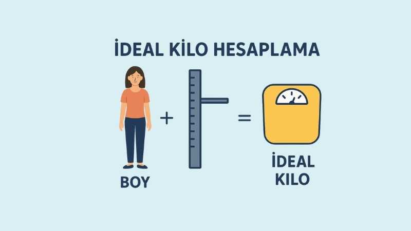 İdeal Kilo Hesaplama