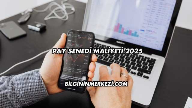 Pay Senedi Maliyeti 2025