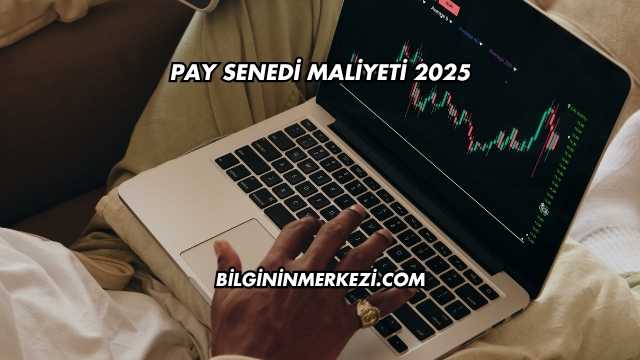 Pay Senedi Maliyeti 2025