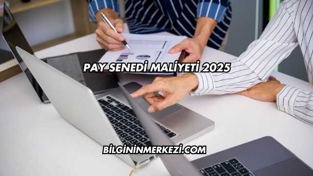 Pay Senedi Maliyeti 2025