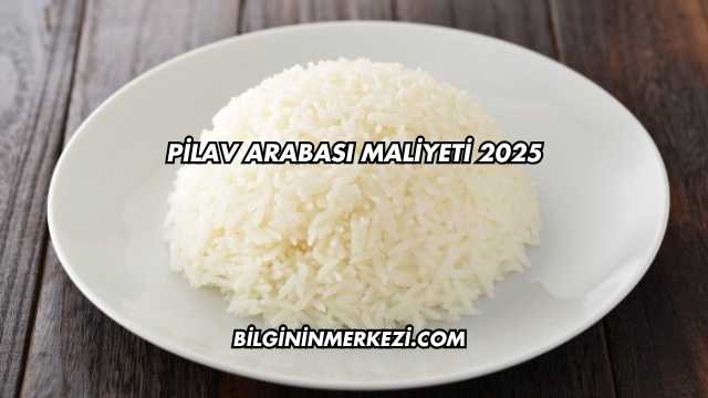 Pilav Arabası Maliyeti 2025