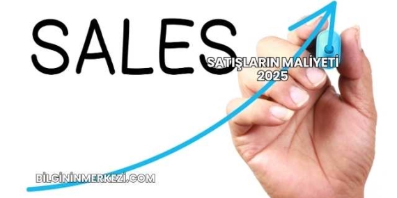 Satışların Maliyeti 2025