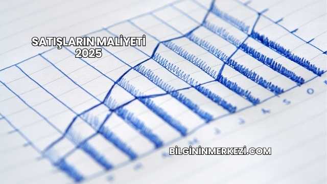 Satışların Maliyeti 2025