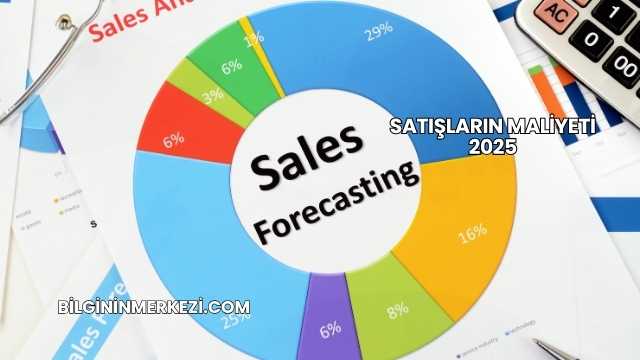 Satışların Maliyeti 2025