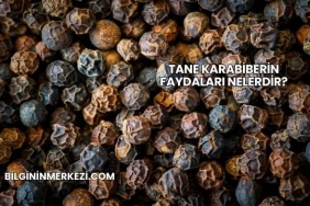 Tane Karabiberin Faydaları Nelerdir?