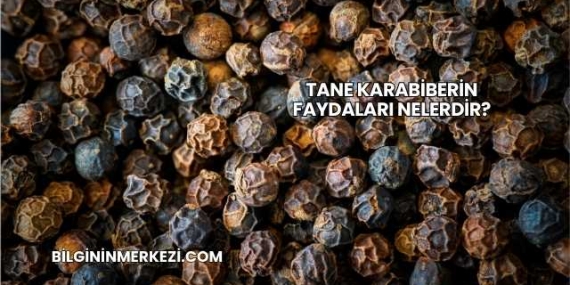 Tane Karabiberin Faydaları Nelerdir?
