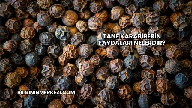 Tane Karabiberin Faydaları Nelerdir?