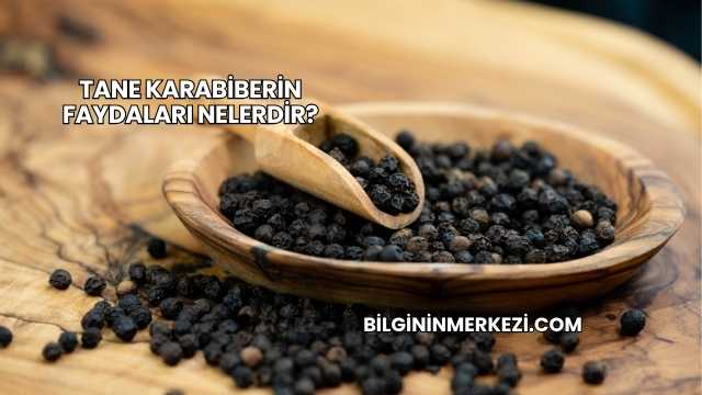Tane Karabiberin Faydaları Nelerdir?