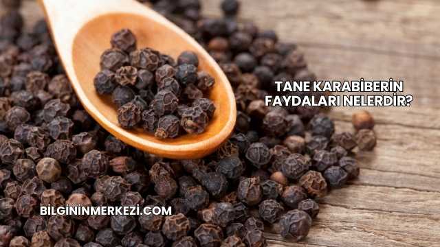 Tane Karabiberin Faydaları Nelerdir?