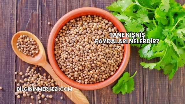 Tane Kişniş Faydaları Nelerdir?