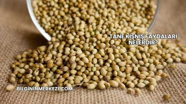 Tane Kişniş Faydaları Nelerdir?
