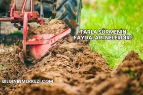 Tarla Sürmenin Faydaları Nelerdir?