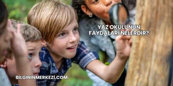 Yaz Okulunun Faydaları Nelerdir?