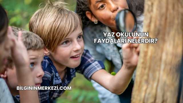 Yaz Okulunun Faydaları Nelerdir?