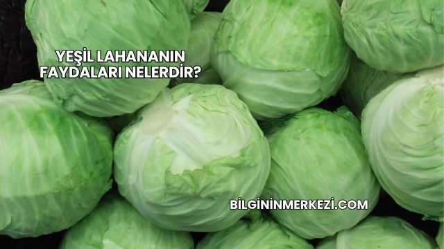 Yeşil Lahananın Faydaları Nelerdir?