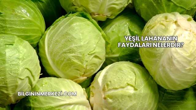 Yeşil Lahananın Faydaları Nelerdir?