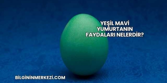 Yeşil Mavi Yumurtanın Faydaları Nelerdir?