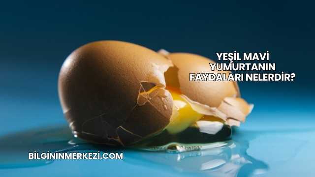 Yeşil Mavi Yumurtanın Faydaları Nelerdir?