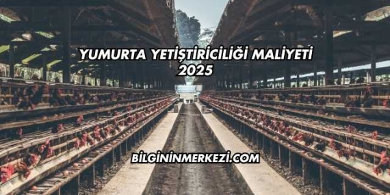 Yumurta Yetiştiriciliği Maliyeti 2025
