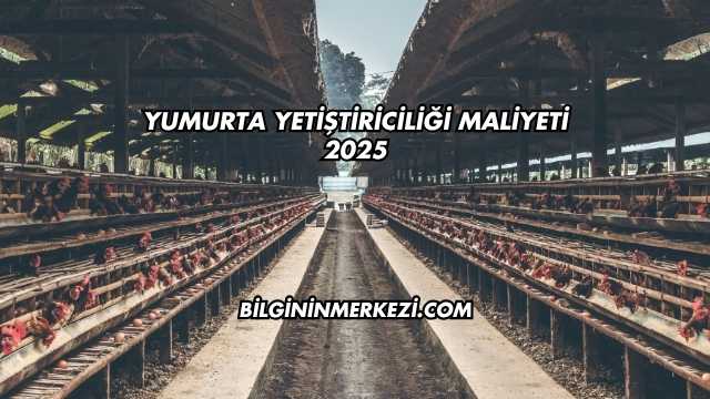 Yumurta Yetiştiriciliği Maliyeti 2025