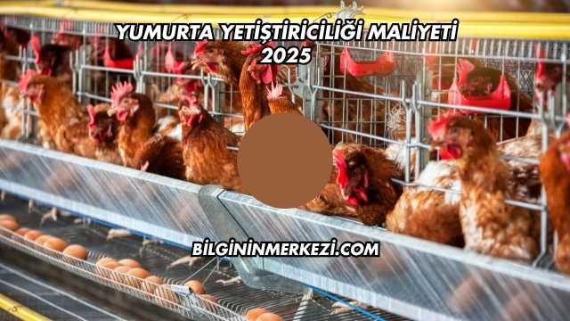 Yumurta Yetiştiriciliği Maliyeti 2025