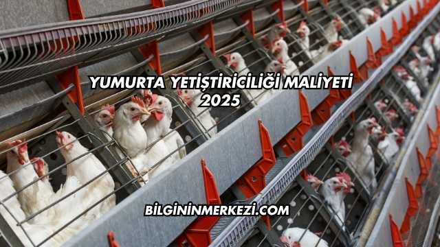 Yumurta Yetiştiriciliği Maliyeti 2025