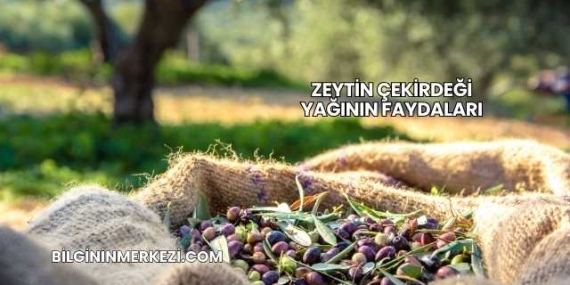 Zeytin Çekirdeği Yağının Faydaları