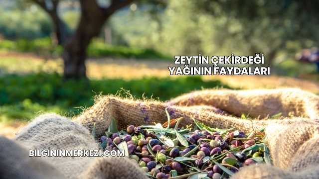 Zeytin Çekirdeği Yağının Faydaları