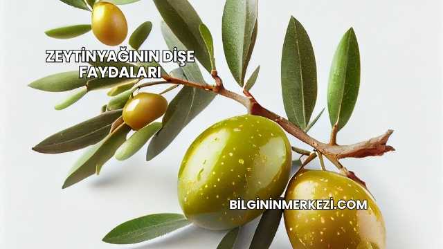 Zeytinyağının Dişe Faydaları