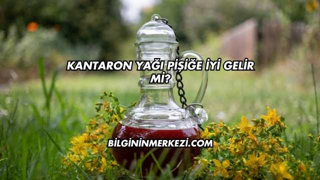 Kantaron Yağı Pişiğe İyi Gelir mi?