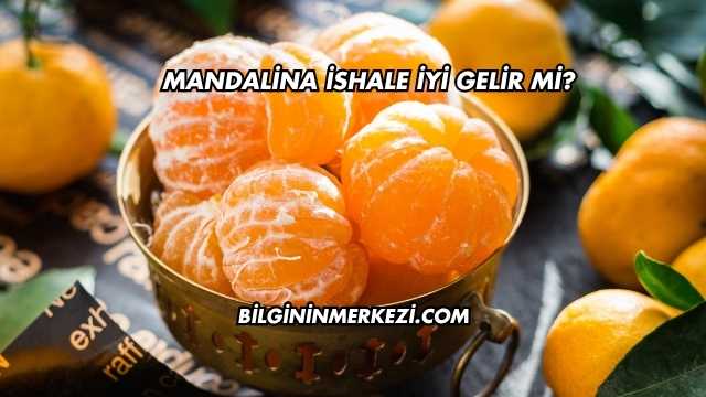 Mandalina İshale İyi Gelir mi?
