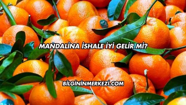Mandalina İshale İyi Gelir mi?