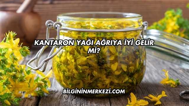 Kantaron Yağı Ağrıya İyi Gelir mi?