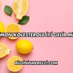 Limon Kolesterole İyi Gelir mi?