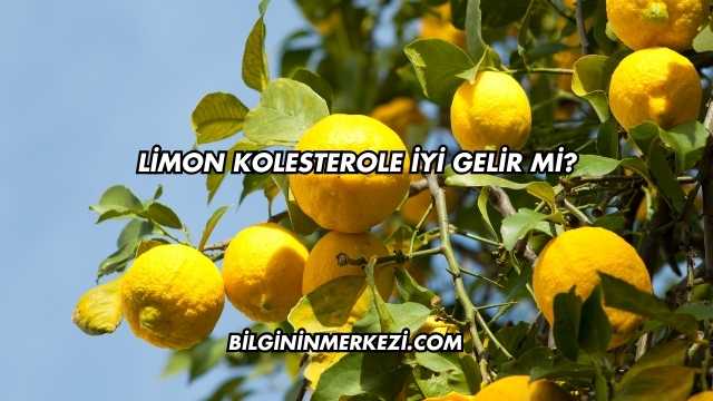 Limon Kolesterole İyi Gelir mi?