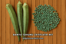 Bamya Tohumu Zayıflatır mı?