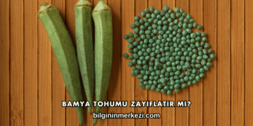 Bamya Tohumu Zayıflatır mı?