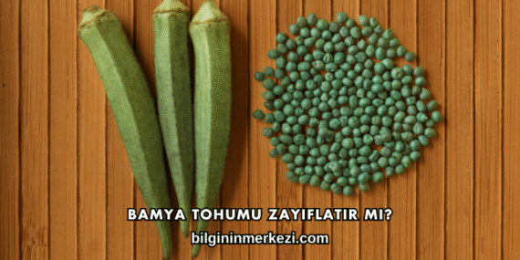 Bamya Tohumu Zayıflatır mı?