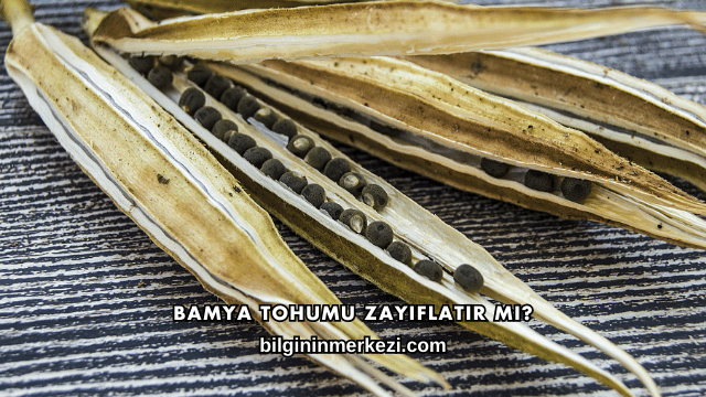 Bamya Tohumu Zayıflatır mı?