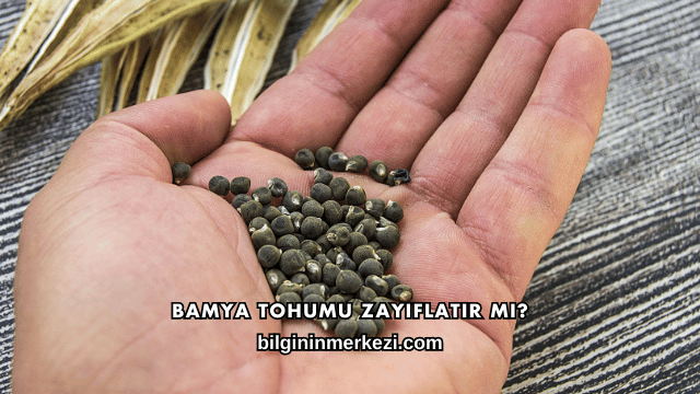 Bamya Tohumu Zayıflatır mı?