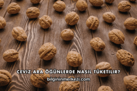 Ceviz Ara Öğünlerde Nasıl Tüketilir?