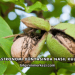 Ceviz Gastronomi Dünyasında Nasıl Kullanılır?