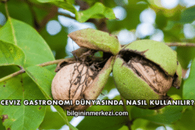 Ceviz Gastronomi Dünyasında Nasıl Kullanılır?